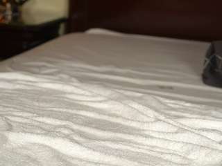 katyerave — Camsoda recorded stream image, 07.08.2026 15:10