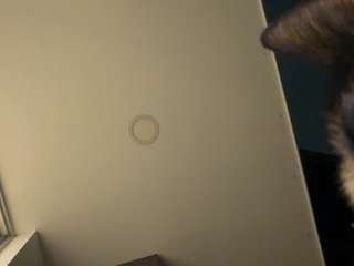 cheerrybomb — Camsoda recorded stream image, 22.08.2026 00:00