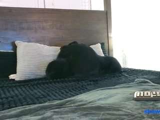 shawn-geni — Camsoda recorded stream image, 09.09.2026 03:00