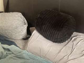t1ger — Camsoda recorded stream image, 15.03.2025 03:20