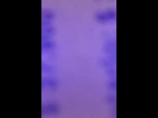 sarahpeterson — Camsoda recorded stream image, 15.03.2025 20:20