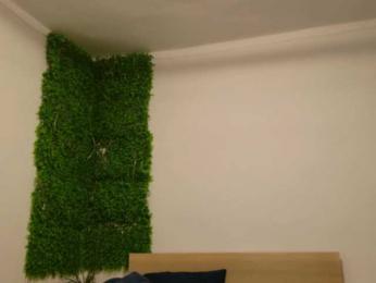 EmilyxJames — Bongacams recorded stream image, 16.03.2025 19:50