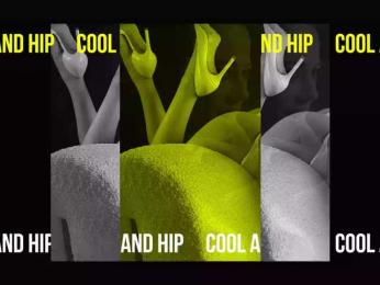 Taanni — Bongacams recorded stream image, 03.02.2025 00:40