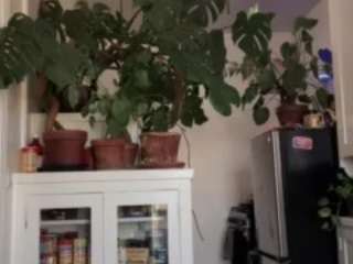 sexysagittarius1212 — Camsoda recorded stream image, 23.03.2025 17:00