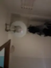 AnastasiaAniess — Stripchat recorded stream screenshot (03 Feb 2025)