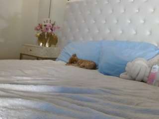 giannalove — Camsoda recorded stream image, 05.04.2025 04:20