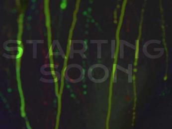 HeyBanana — Bongacams recorded stream screenshot (06 Apr 2025)