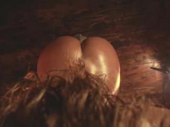 heybanan — Chaturbate recorded stream image, 09.04.2025 16:30