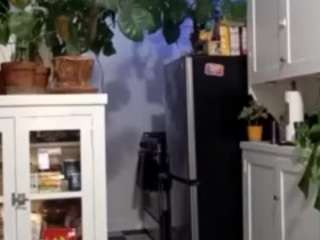 sexysagittarius1212 — Camsoda recorded stream image, 11.04.2025 18:40