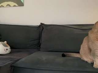 youramy — Camsoda recorded stream image, 15.04.2025 14:50