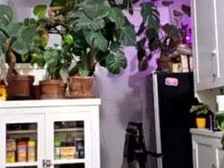 sexysagittarius1212 — Camsoda recorded stream image, 23.04.2025 13:00