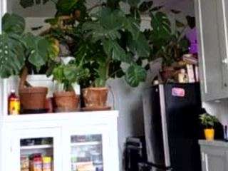 sexysagittarius1212 — Camsoda recorded stream image, 25.04.2025 18:20
