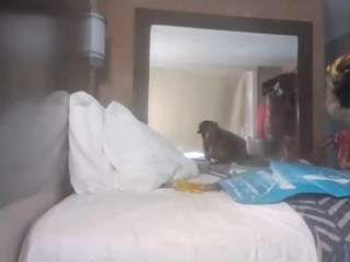 stalliontheesavage — Camsoda recorded stream screenshot (27 Apr 2025)