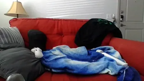 cinnaminnie — Stripchat recorded stream image, 01.05.2025 16:10