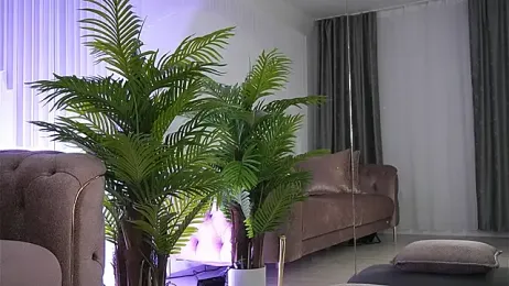 Abbela_White — Stripchat recorded stream image, 06.05.2025 05:30