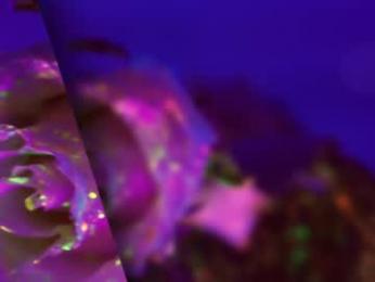 heybanan — Chaturbate recorded stream image, 07.05.2025 16:50